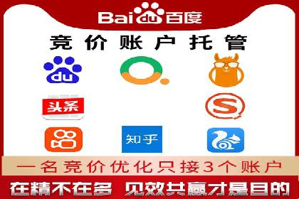 竞价开户优势解析：成功案例对比